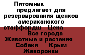 Питомник KURAT GRAD предлагает для резервирования щенков американского стаффордш › Цена ­ 25 000 - Все города Животные и растения » Собаки   . Крым,Жаворонки